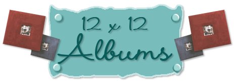 12x12 Album graphic